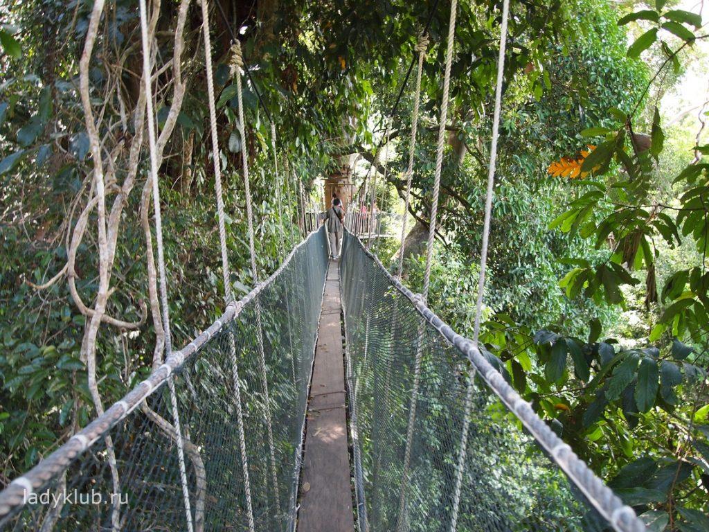 Туристическая поездка в Национальный парк Кинабалу на Борнео (личный опыт туриста)