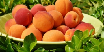 Чем полезны абрикосы для организма