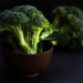Капуста брокколи — полезные свойства, калорийность и состав
